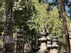 -四门塔风景区
