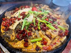 -老板恋上鱼(恒隆广场店)