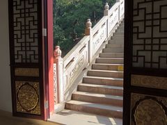 -东莞市大岭山森林公园