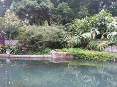 -成都市活水公园