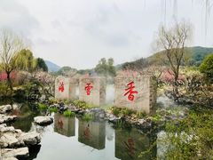 -香雪海