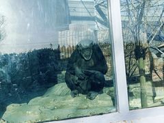 -鄂尔多斯野生动物园