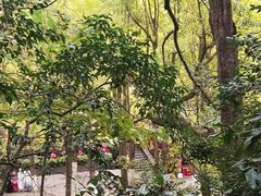 -黔灵山公园
