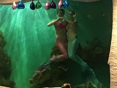 -瑞德姆美人鱼海底演艺主题餐厅(亚龙湾店)