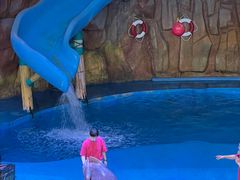 -烟台海昌鲸鲨海洋公园