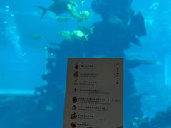 -海棠湾洲际-涛·海底餐厅·美人鱼·自助餐·海底隧道
