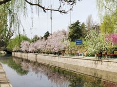 -海棠花溪(元大都城垣遗址公园)
