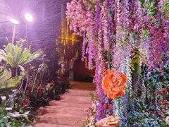 -正佳雨林生态植物园