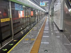 -洋湖国家湿地公园