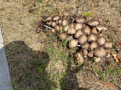 -敬亭山风景名胜区