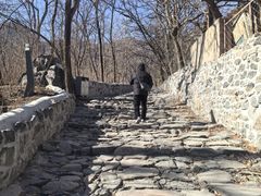 -阳台山自然风景区