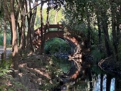 -伊犁河景区