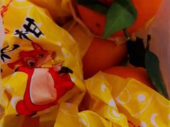 -乐乐鲜果水果超市(河北店)