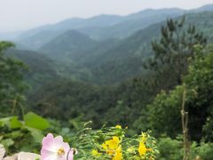 -木兰云雾山