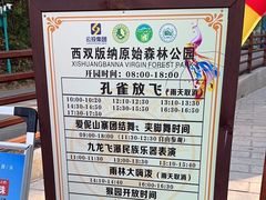-西双版纳原始森林公园