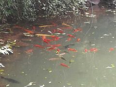 -敬亭山风景名胜区