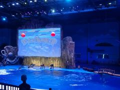 -华夏文旅海洋公园