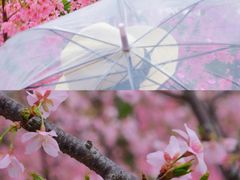 -艾溪湖湿地公园