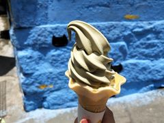 -猫咪博物馆(顶澳仔猫街店)