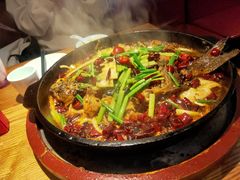 -老板恋上鱼(高新万达店)