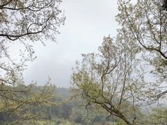 -韶关经律论国际酒店温泉