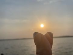 -丁香湖公园