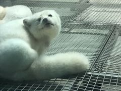 -泉城欧乐堡海洋极地世界