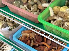 -佳缘野生菌食府
