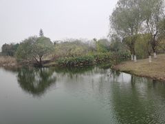 -梁鸿国家湿地公园