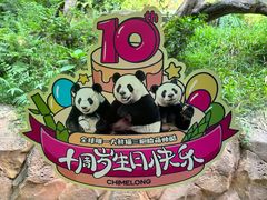 -广州长隆野生动物世界