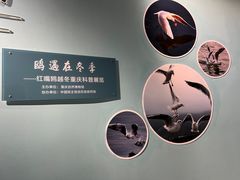 -重庆自然博物馆(新馆)
