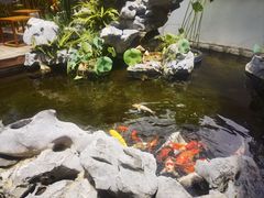 -道南書院·私房菜·早午茶·茶馆