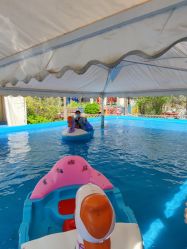 -萌宠亲子动物乐园(槐房万达店)