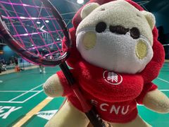 -佰德观岚记羽毛球馆