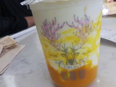 -仙鹿黎·新网红台式茶饮(沈北华强店)
