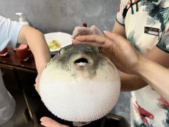 -鲐赏河豚(长寿店)