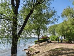 -丁香湖公园
