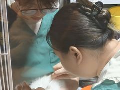 -雨林宠物医院 非犬猫异宠专科
