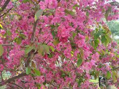 -元大都城垣遗址公园