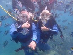 -亚龙湾海底世界