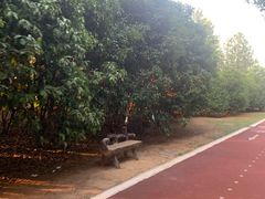 -艾溪湖湿地公园