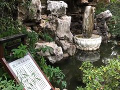 -上海醉白池公园