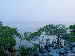 -深圳湾公园(南山区)