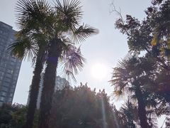 -塔子山公园