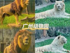 -广州动物园