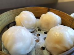 添运来虾饺皇-添运来(茶园奥园广场店)