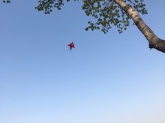 -威克特披萨汉堡