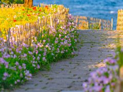 -关你鬼室大型密室逃脱(佛山创意园店)