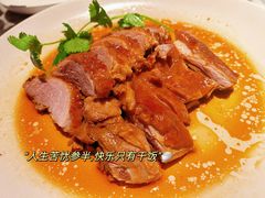 -MR鹅外