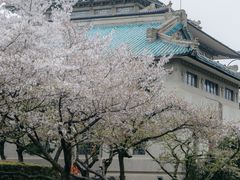 -武汉大学-樱园